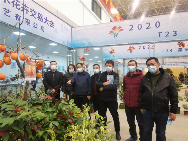 摇钱树娱乐(中国区)有限公司官网