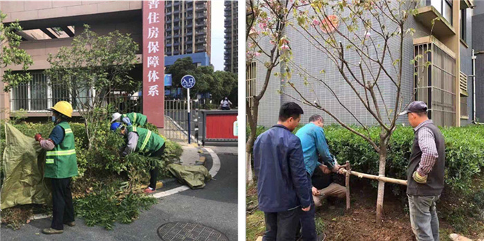摇钱树娱乐(中国区)有限公司官网