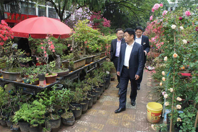 摇钱树娱乐(中国区)有限公司官网