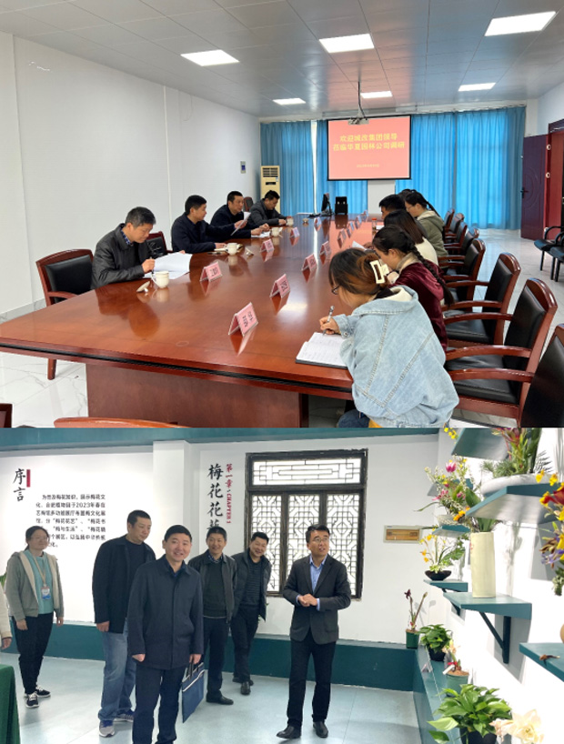摇钱树娱乐(中国区)有限公司官网