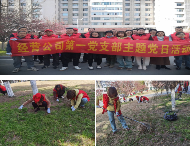摇钱树娱乐(中国区)有限公司官网