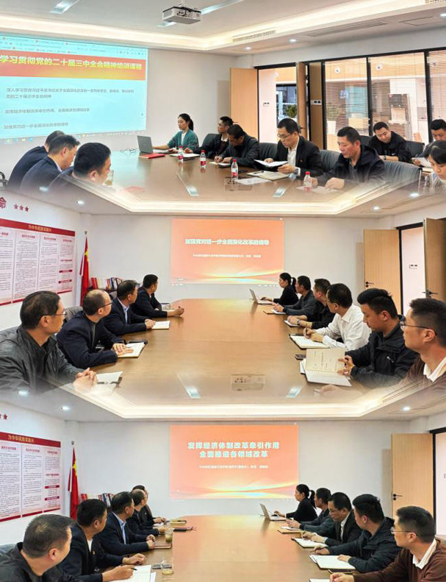 摇钱树娱乐(中国区)有限公司官网