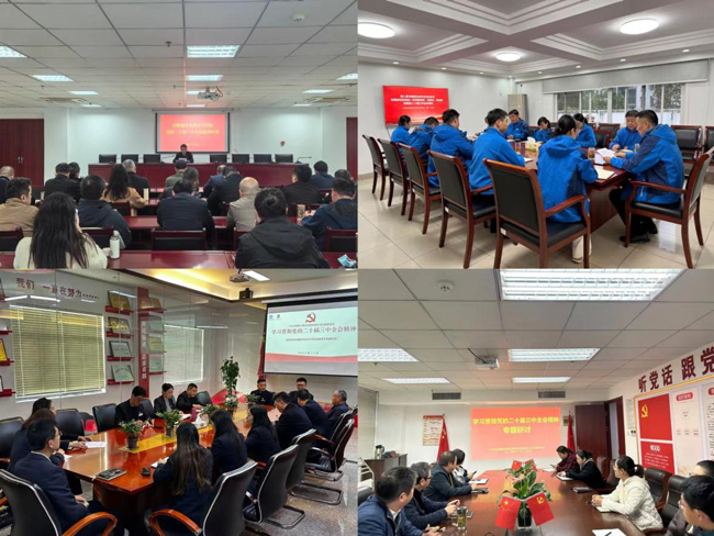 摇钱树娱乐(中国区)有限公司官网