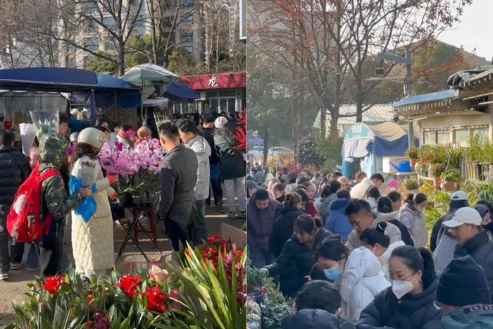 摇钱树娱乐(中国区)有限公司官网