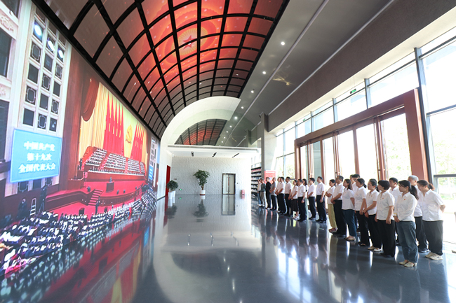 摇钱树娱乐(中国区)有限公司官网