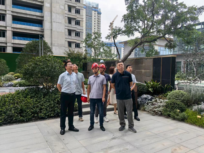 摇钱树娱乐(中国区)有限公司官网