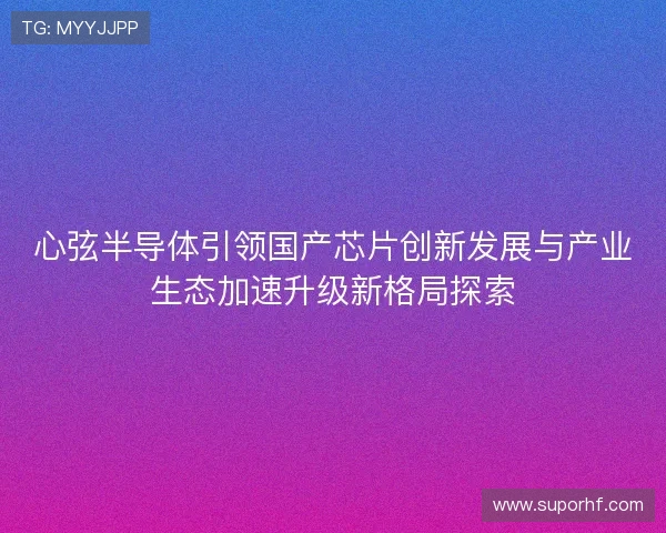 心弦半导体引领国产芯片创新发展与产业生态加速升级新格局探索